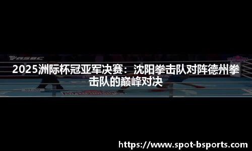 2025洲际杯冠亚军决赛：沈阳拳击队对阵德州拳击队的巅峰对决